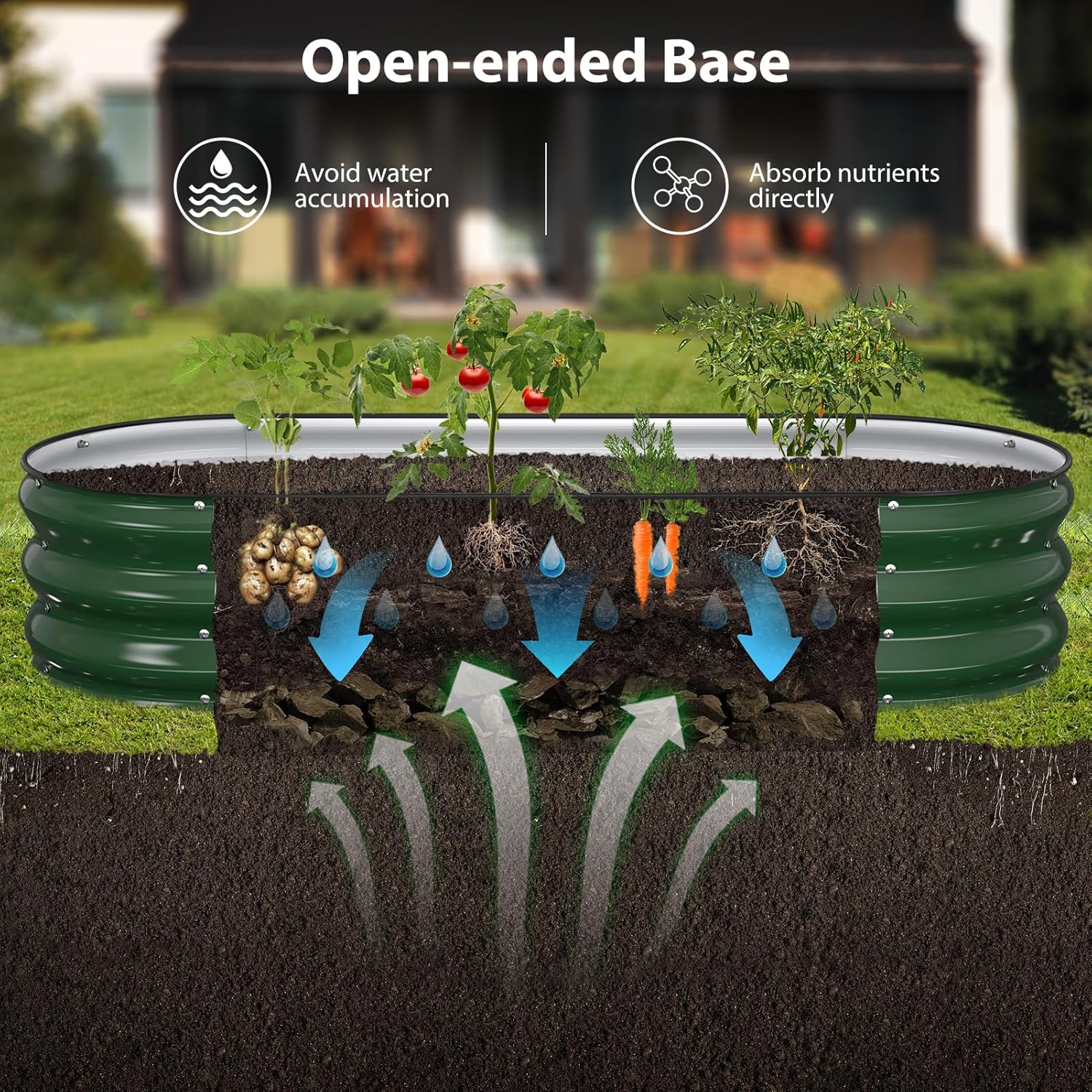 Raised Garden Bed & Planter Bo - Planter Raised Metal ulasan dan harga