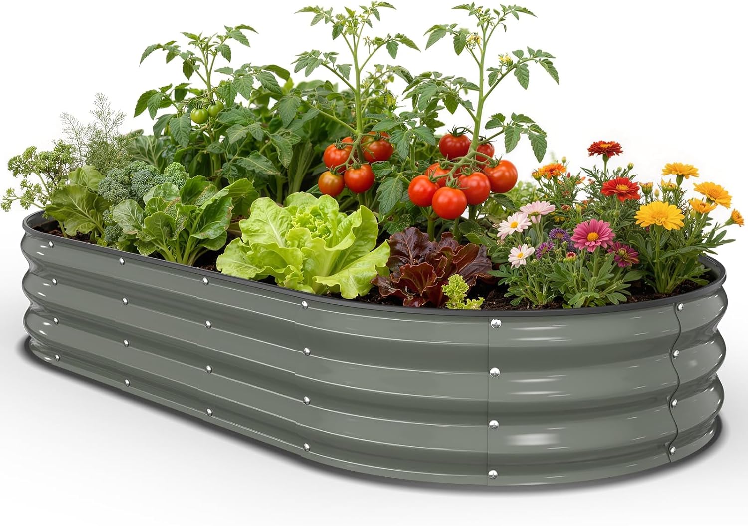 Raised Garden Bed & Planter Bo - Planter Raised Metal ulasan dan harga