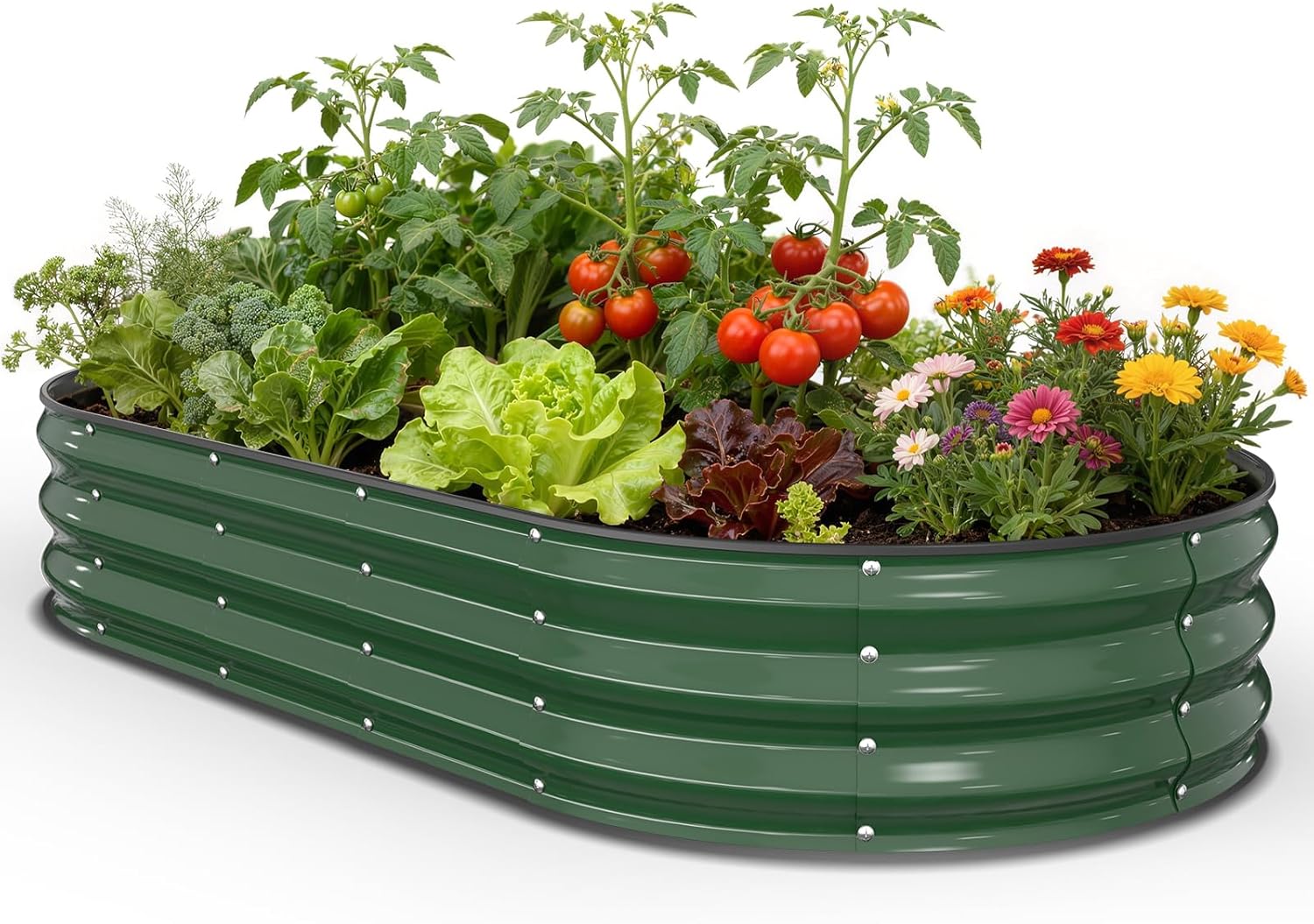 Raised Garden Bed & Planter Bo - Planter Raised Metal ulasan dan harga
